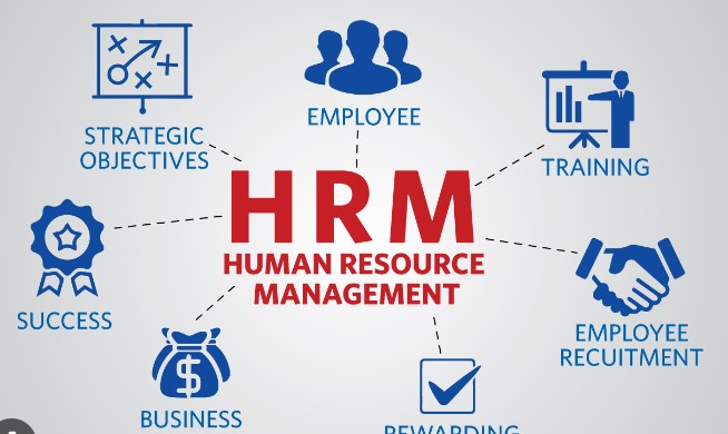 Human Resources (HR) and Personnel Management Software